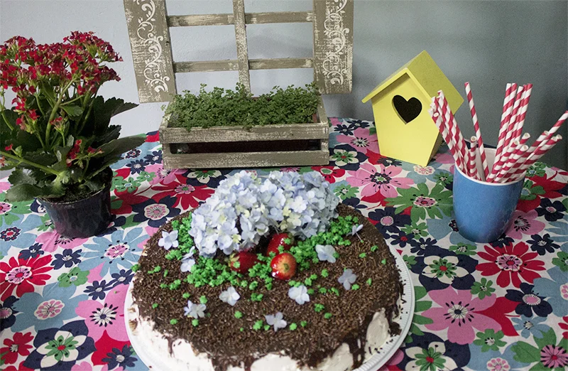 aniversário primavera