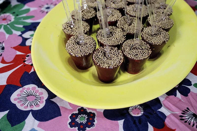 aniversário primavera