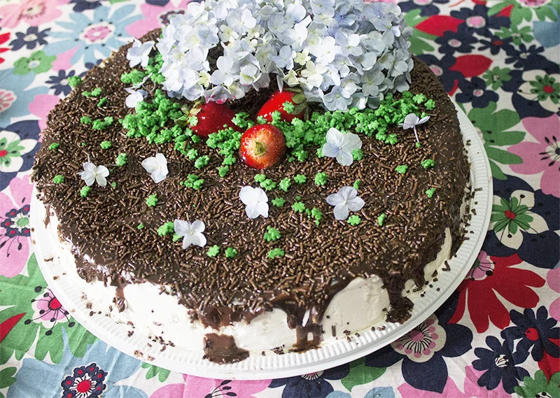 aniversário primavera