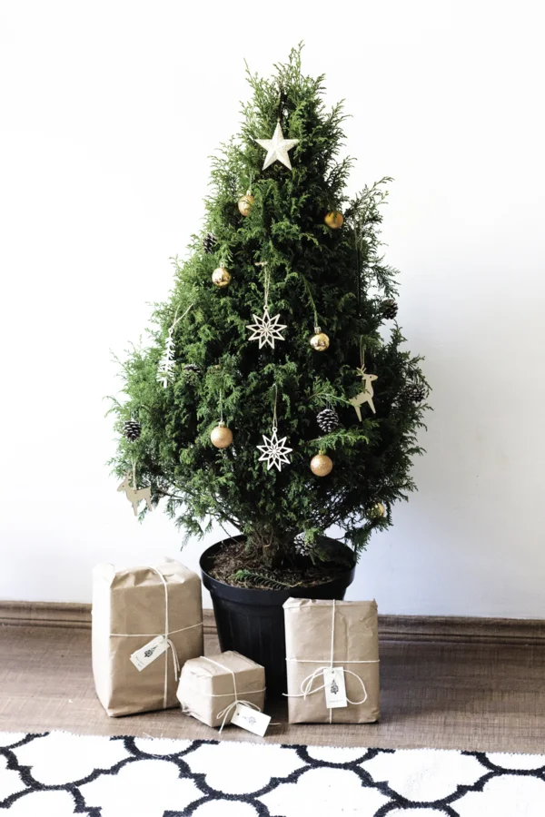 natal minimalista