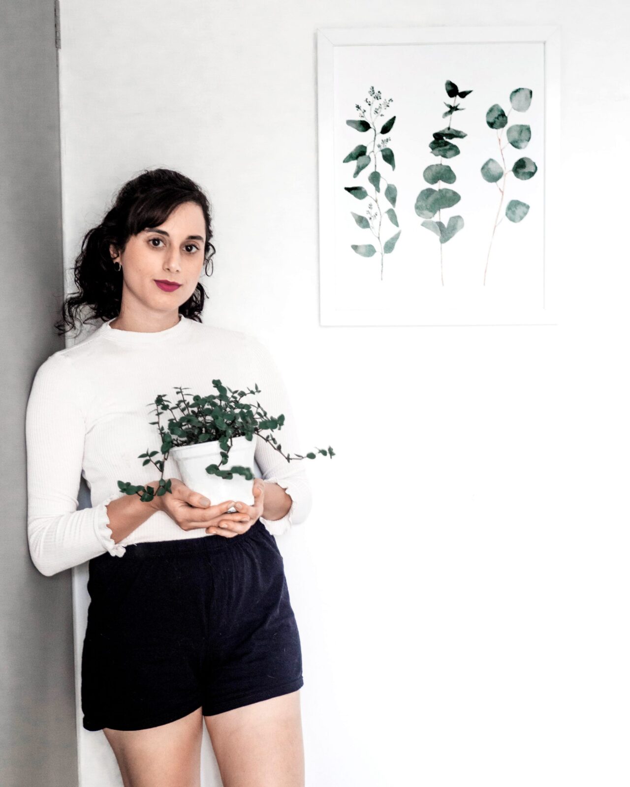 melhores plantas para ambientes internos