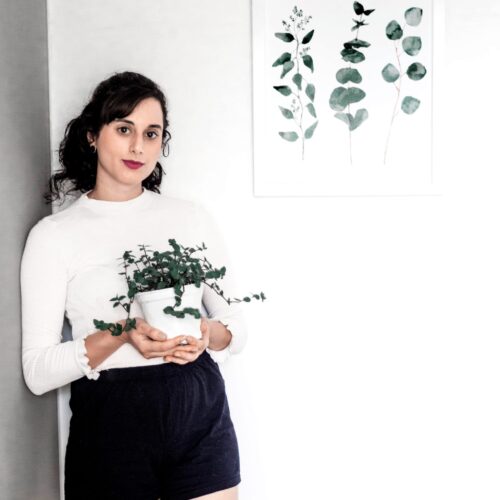 melhores plantas para ambientes internos