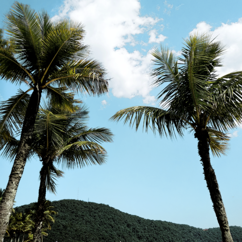 praia grande são paulo