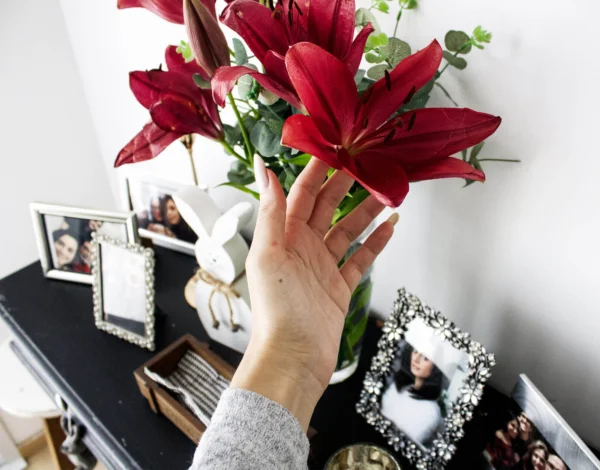 7 coisas para fazer nesse outono