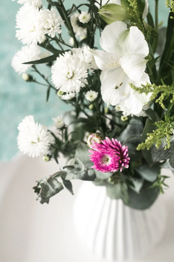 Traga as flores, chegou a primavera!