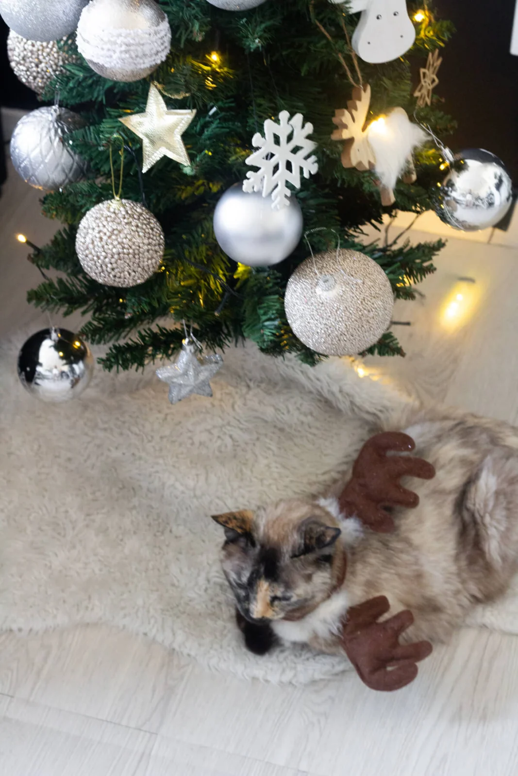 Uma nova decoração de natal