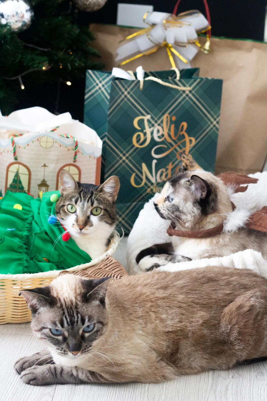 Um relato íntimo sobre a tradição do café da manhã de Natal, memórias da infância, rabanadas, panetone e pequenos rituais…