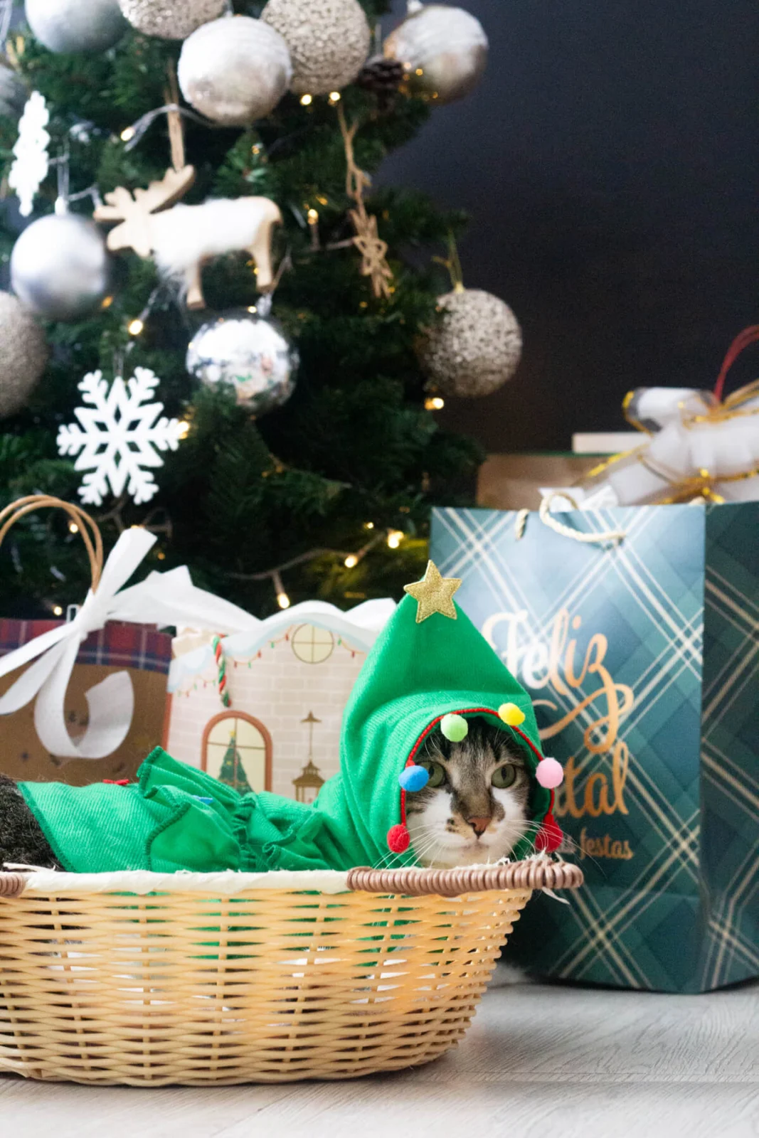 Um relato íntimo sobre a tradição do café da manhã de Natal, memórias da infância, rabanadas, panetone e pequenos rituais…