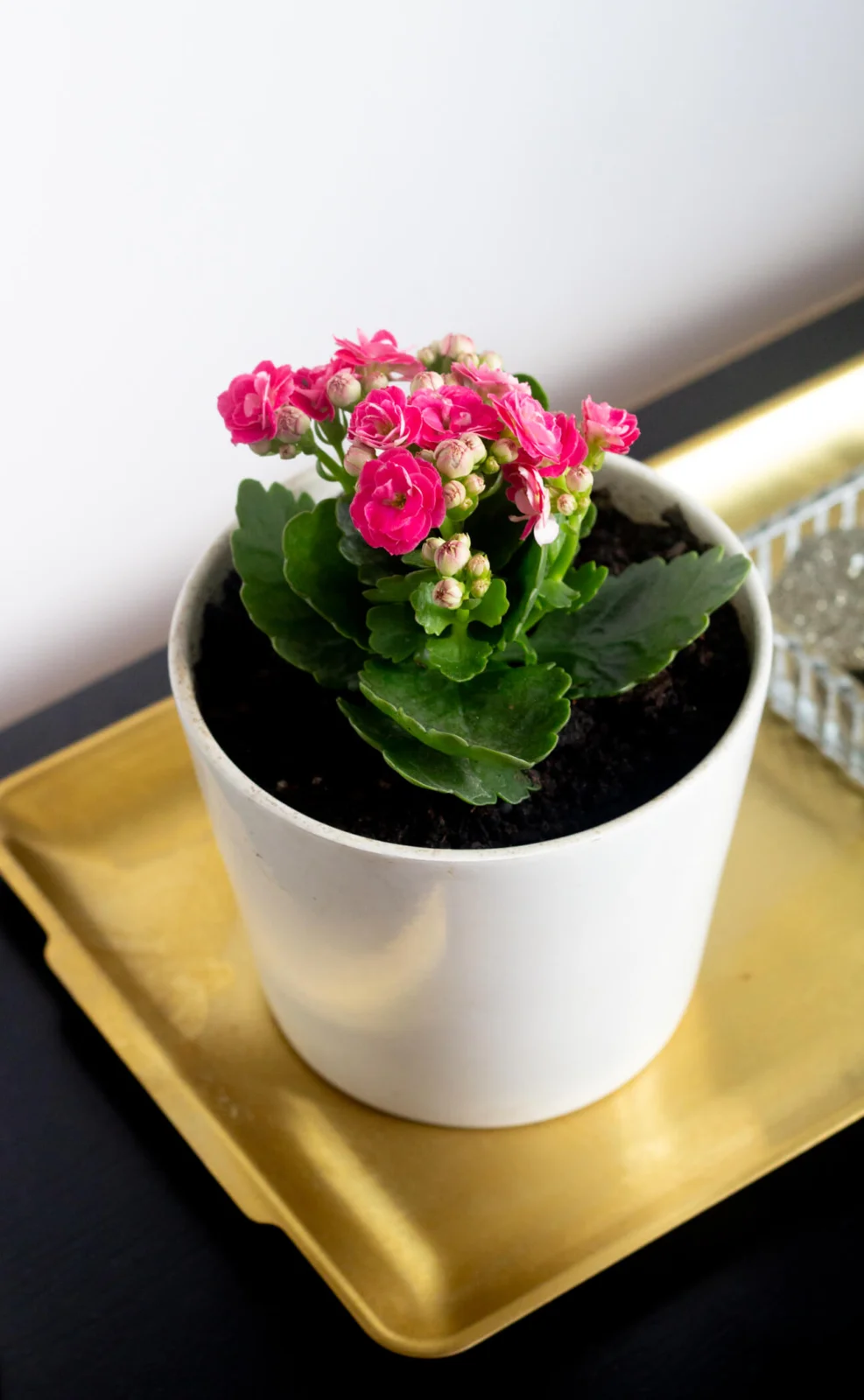 Uma decoração com cores vibrantes de verão