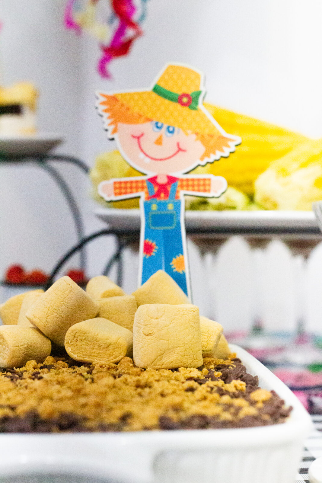 Vamos nos preparar para as Festas Juninas?